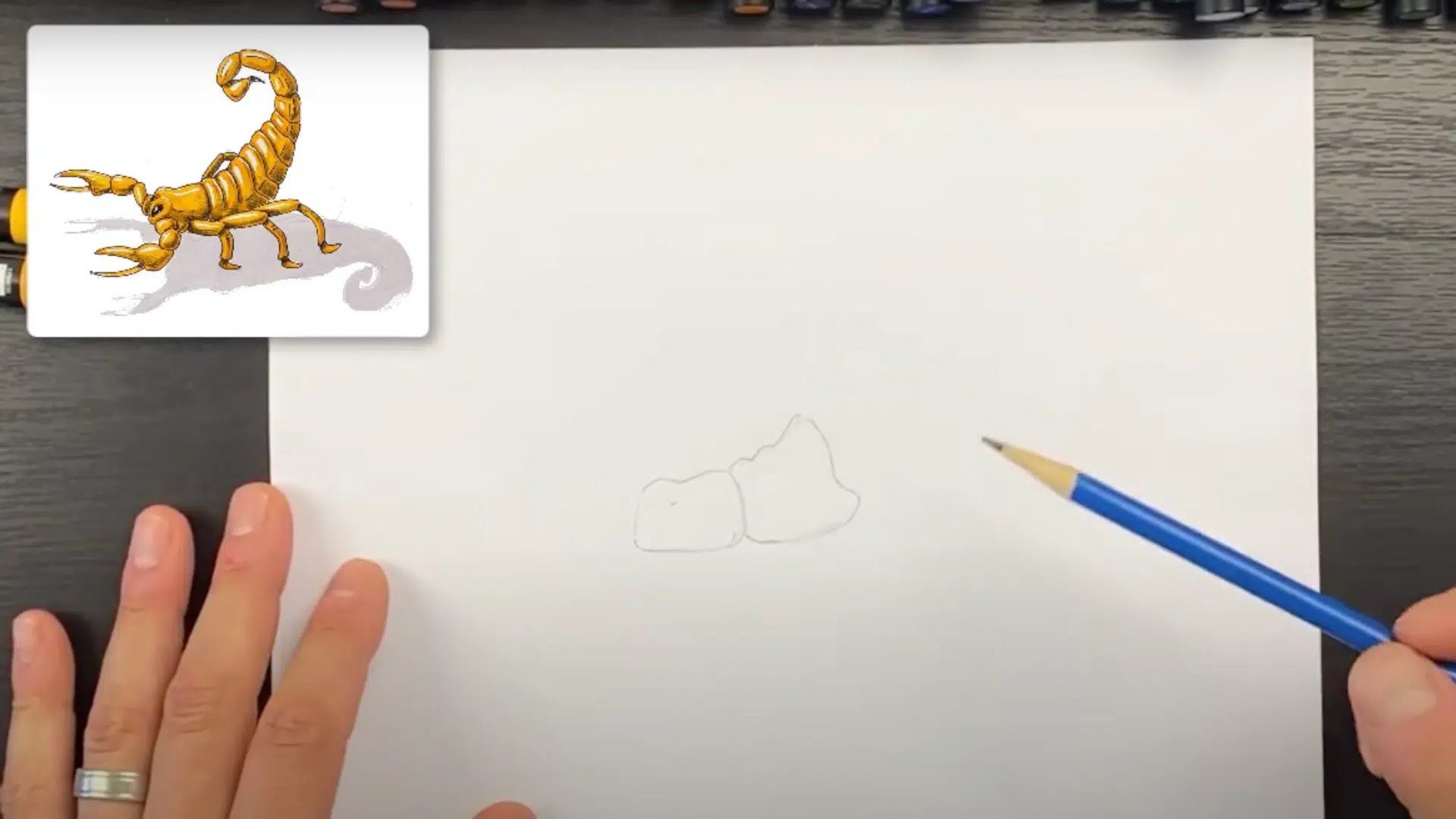 Step_1_Draw_the_Scorpions_Body_Outline