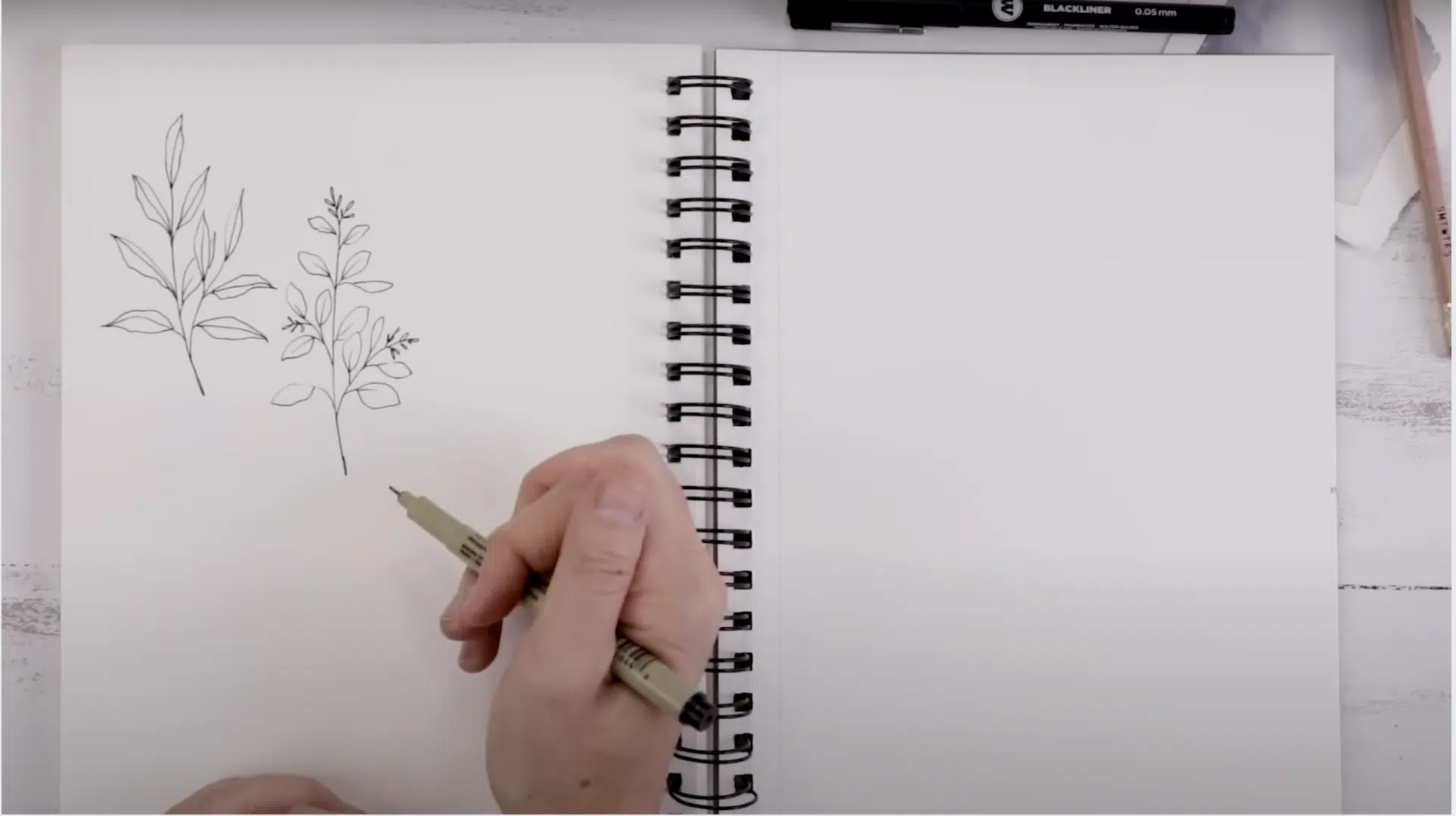 Step_2_Add_Multiple_Leaves_to_the_Stem