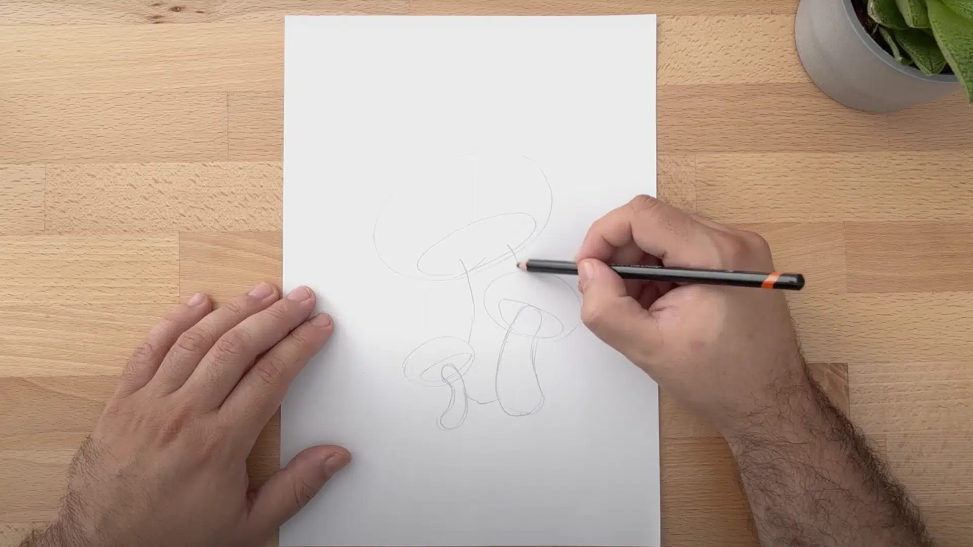 Step_2_Draw_the_Stalks