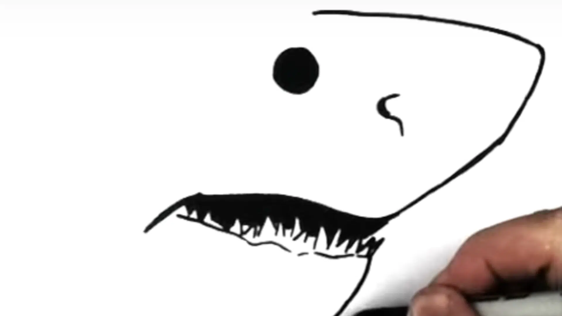 Step_2_Outline_the_Sharks_Mouth_and_Teeth