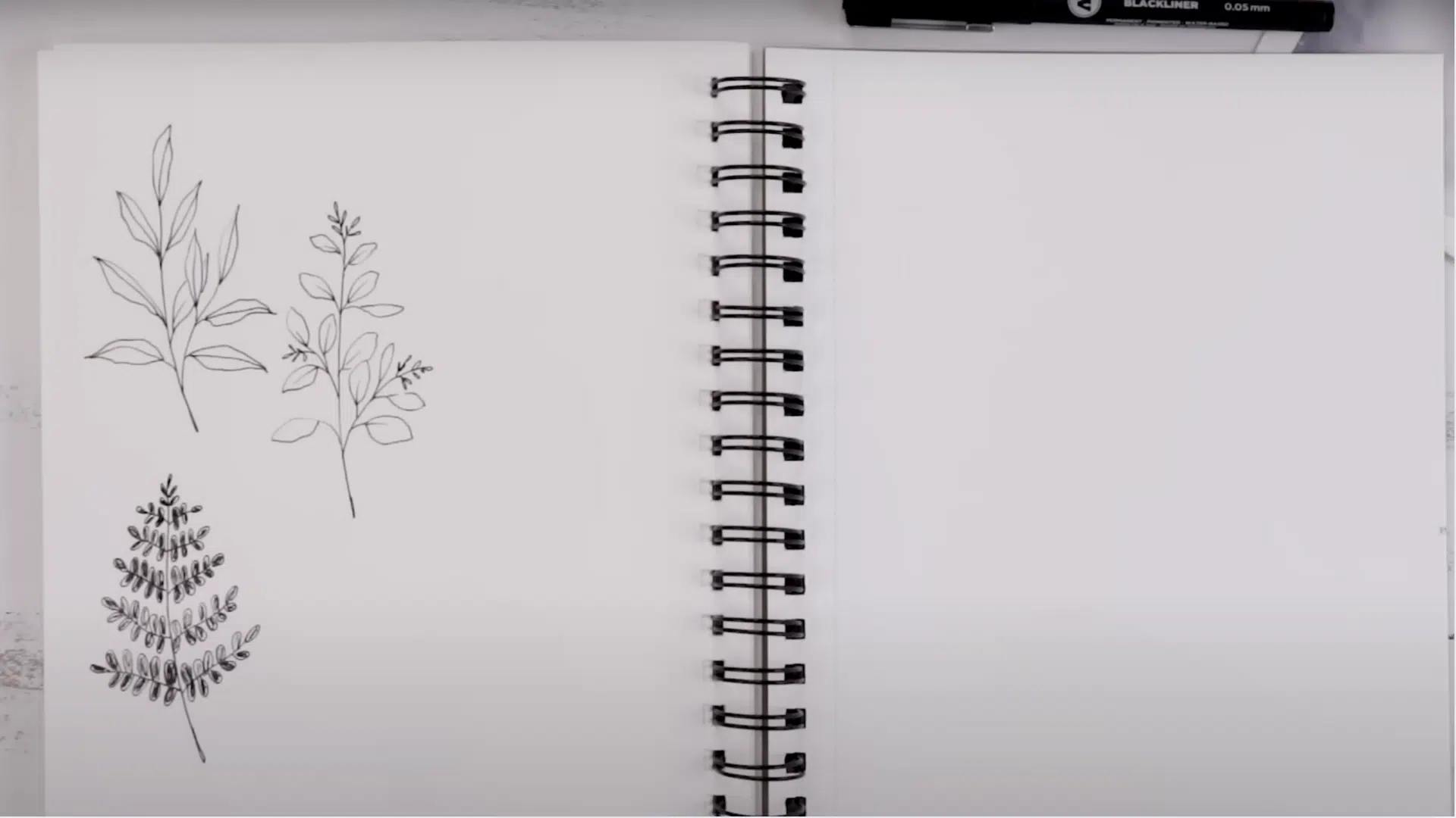 Step_3_Experiment_with_Fern-like_Leaves