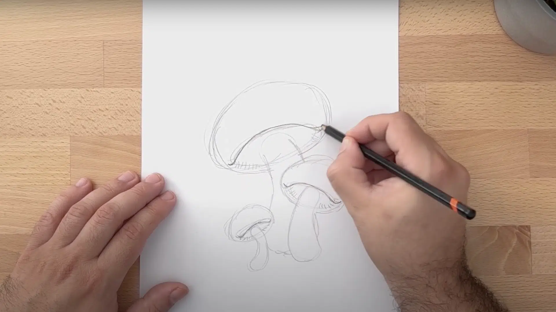 Step_3_Refine_the_Shapes