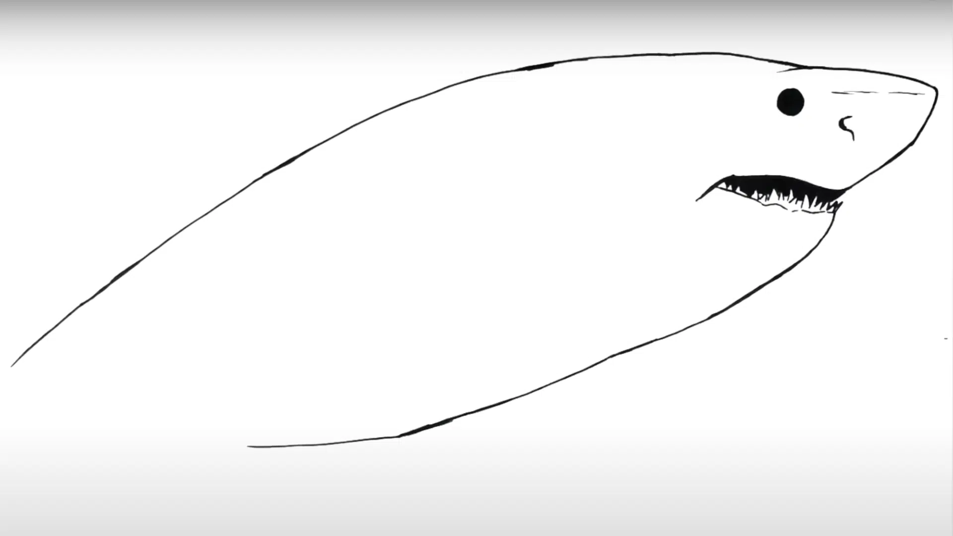 Step_3_Shape_the_Sharks_Body