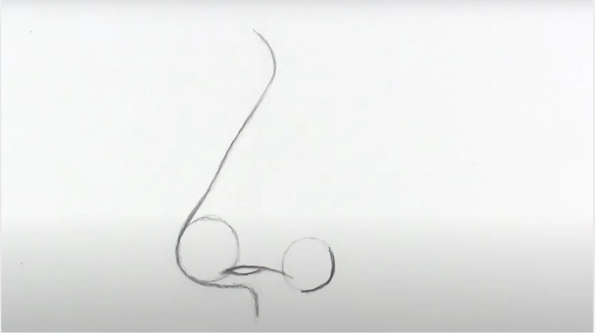 Step_4_Add_the_Nostril_and_Wing