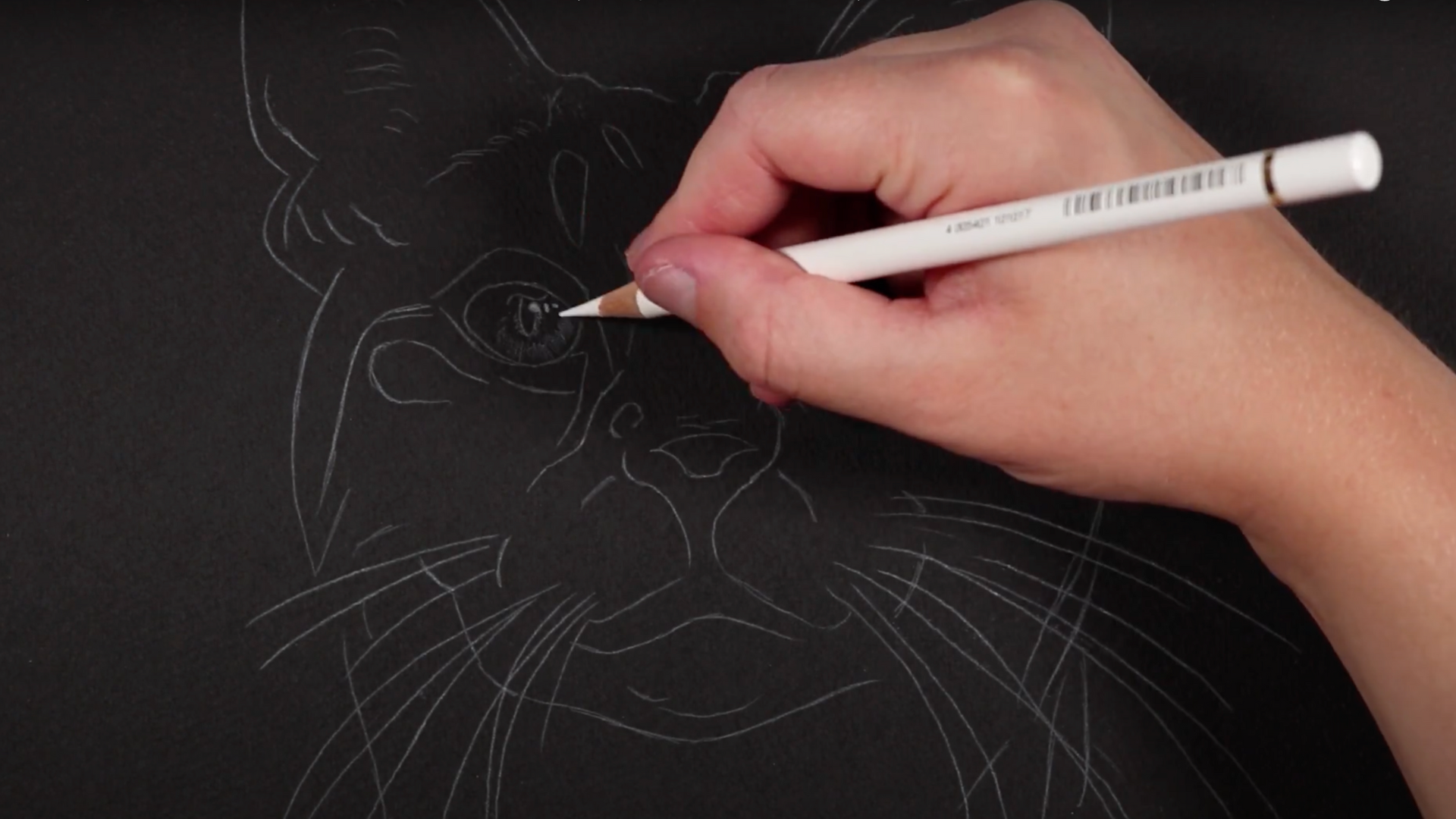Step_4_Begin_Shading_with_a_Light_Hand