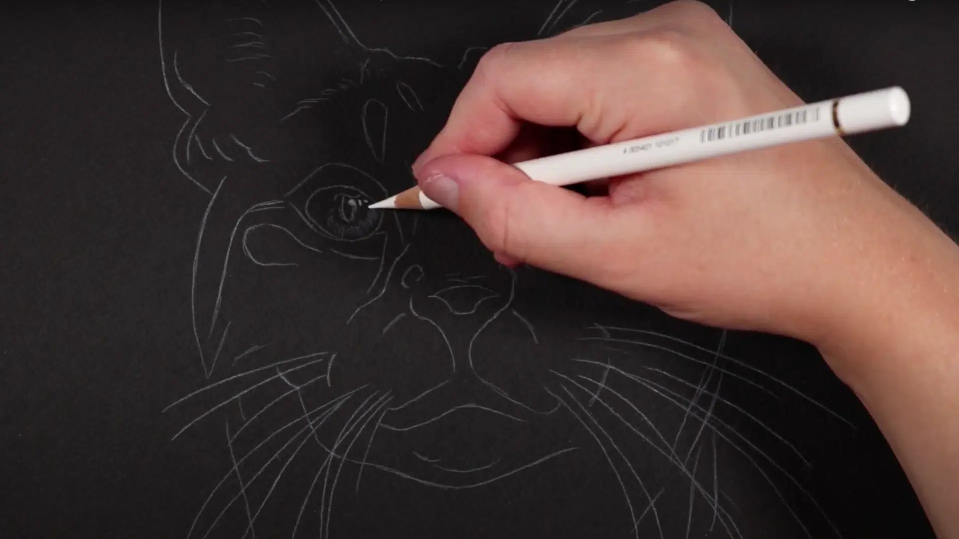 Step_4_Begin_Shading_with_a_Light_Hand
