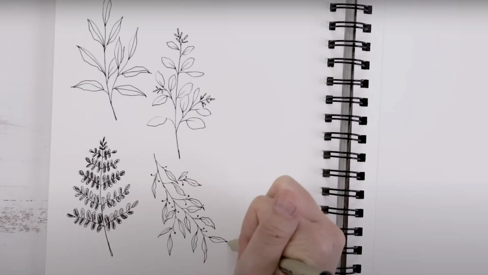 Step_4_Draw_a_Simple_Eucalyptus_Leaf