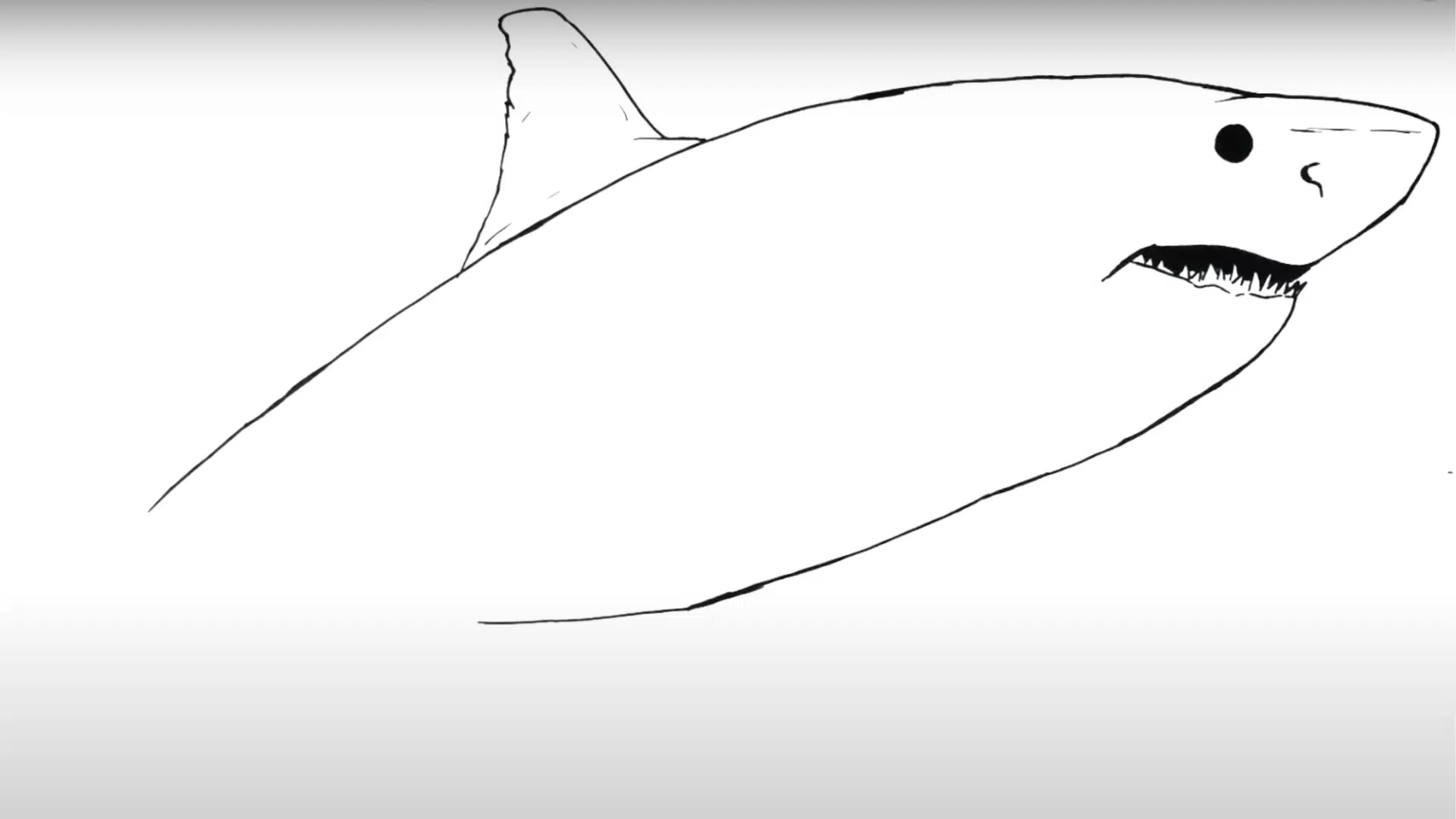 Step_4_Draw_the_Fins