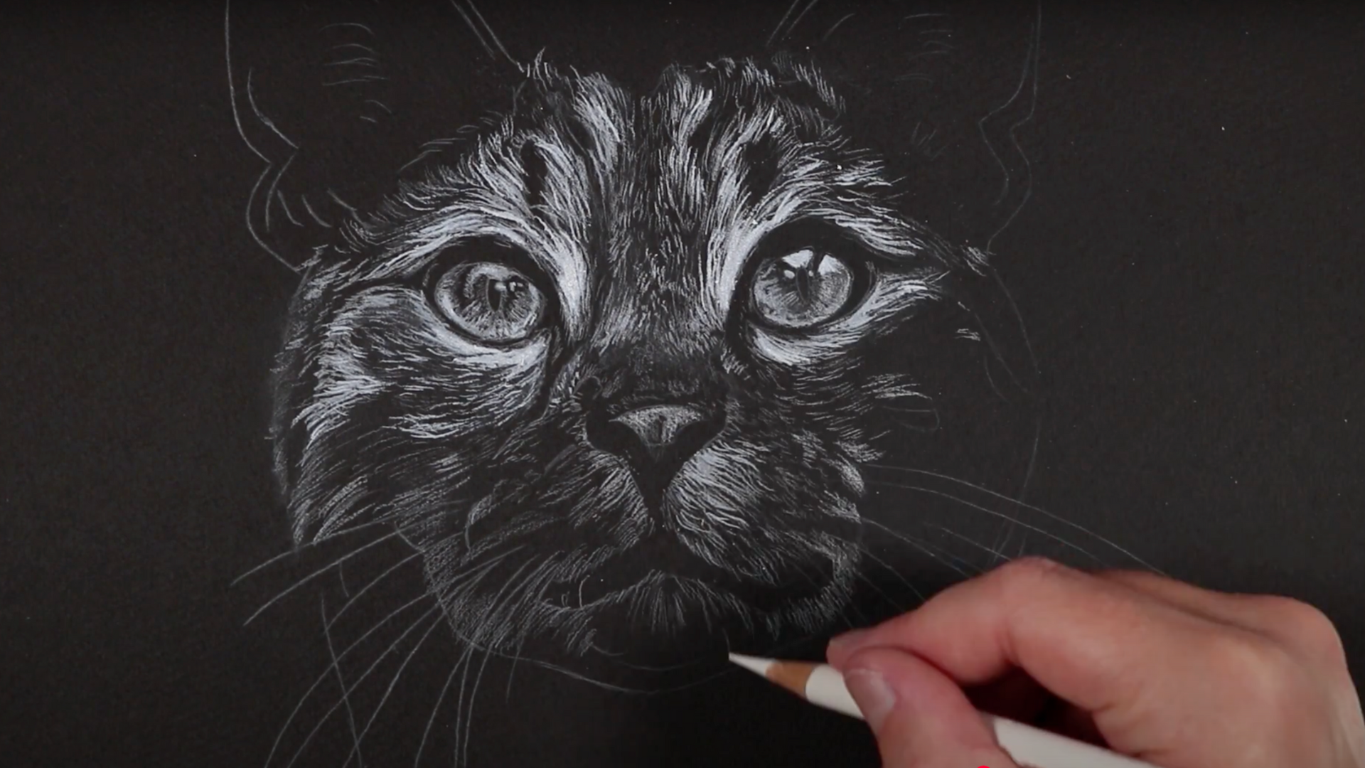 Step_5_Add_Layers_by_Increasing_Pencil_Pressure