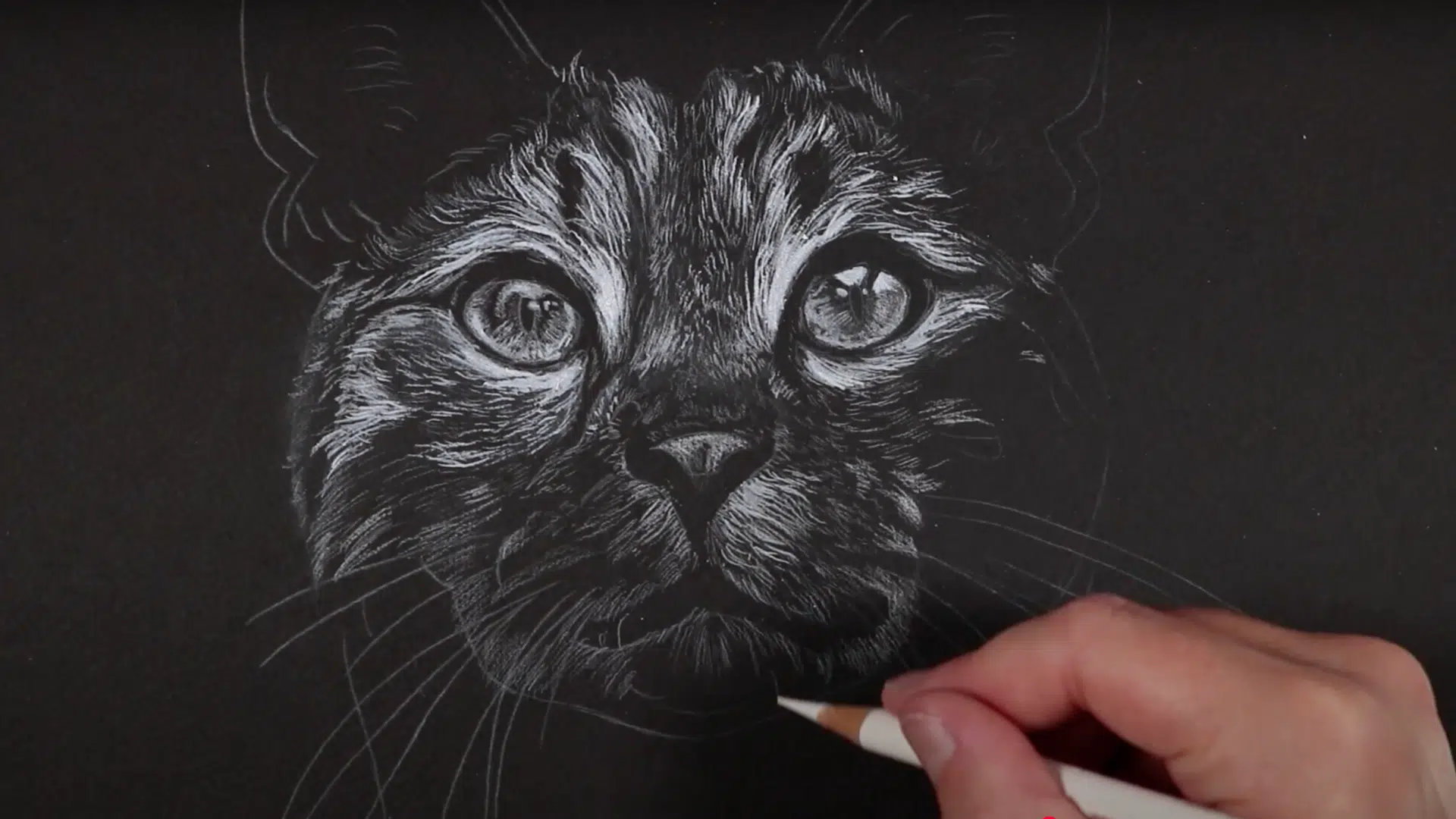 Step_5_Add_Layers_by_Increasing_Pencil_Pressure