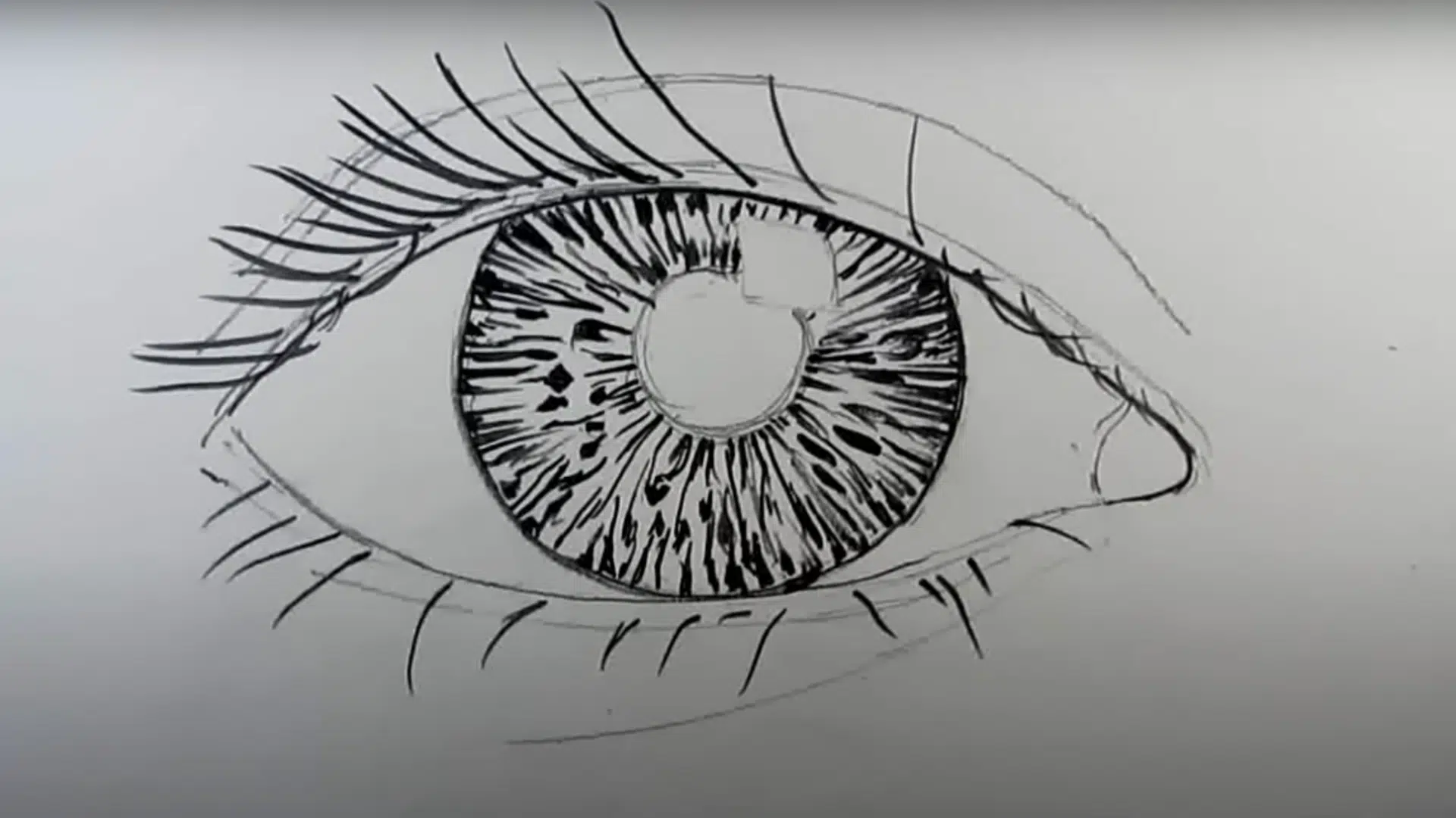 Step_5_Define_the_Iris_Texture