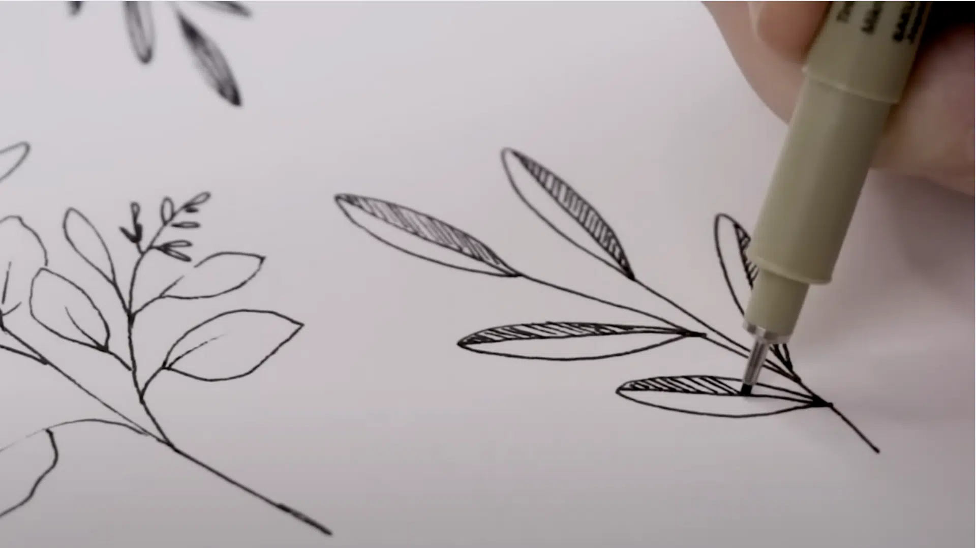 Step_5_Draw_Round_or_Oval_Leaves_with_Veining