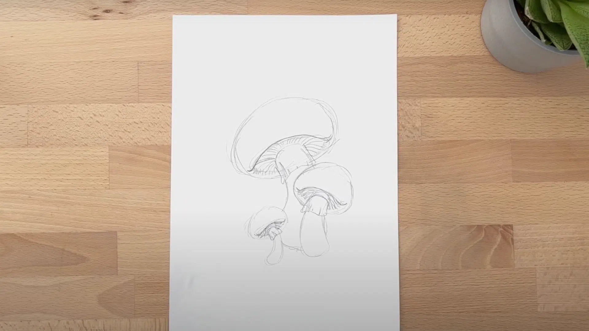 Step_5_Draw_the_Gills_and_Skirt