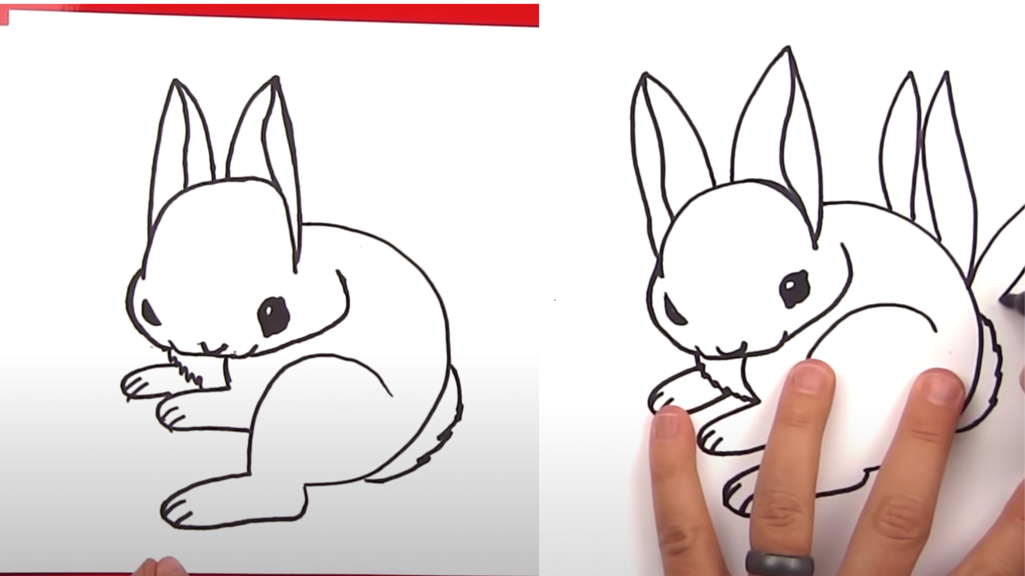 Step_5_Front_Paws_Chest_and_Tail
