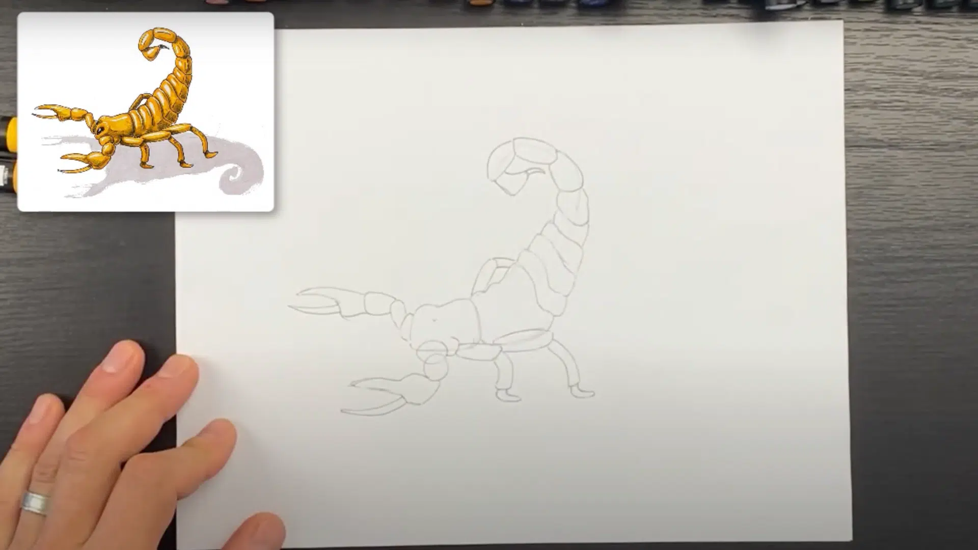 Step_5_Shape_the_Tail