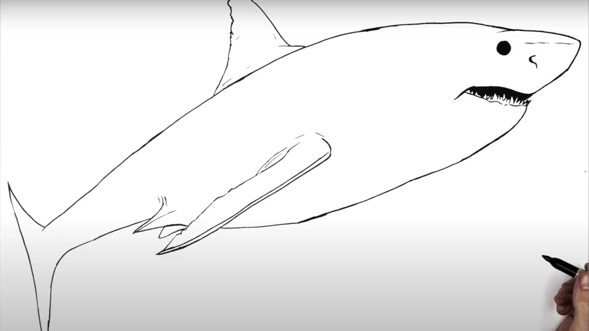 Step_5_Sketch_the_Tail