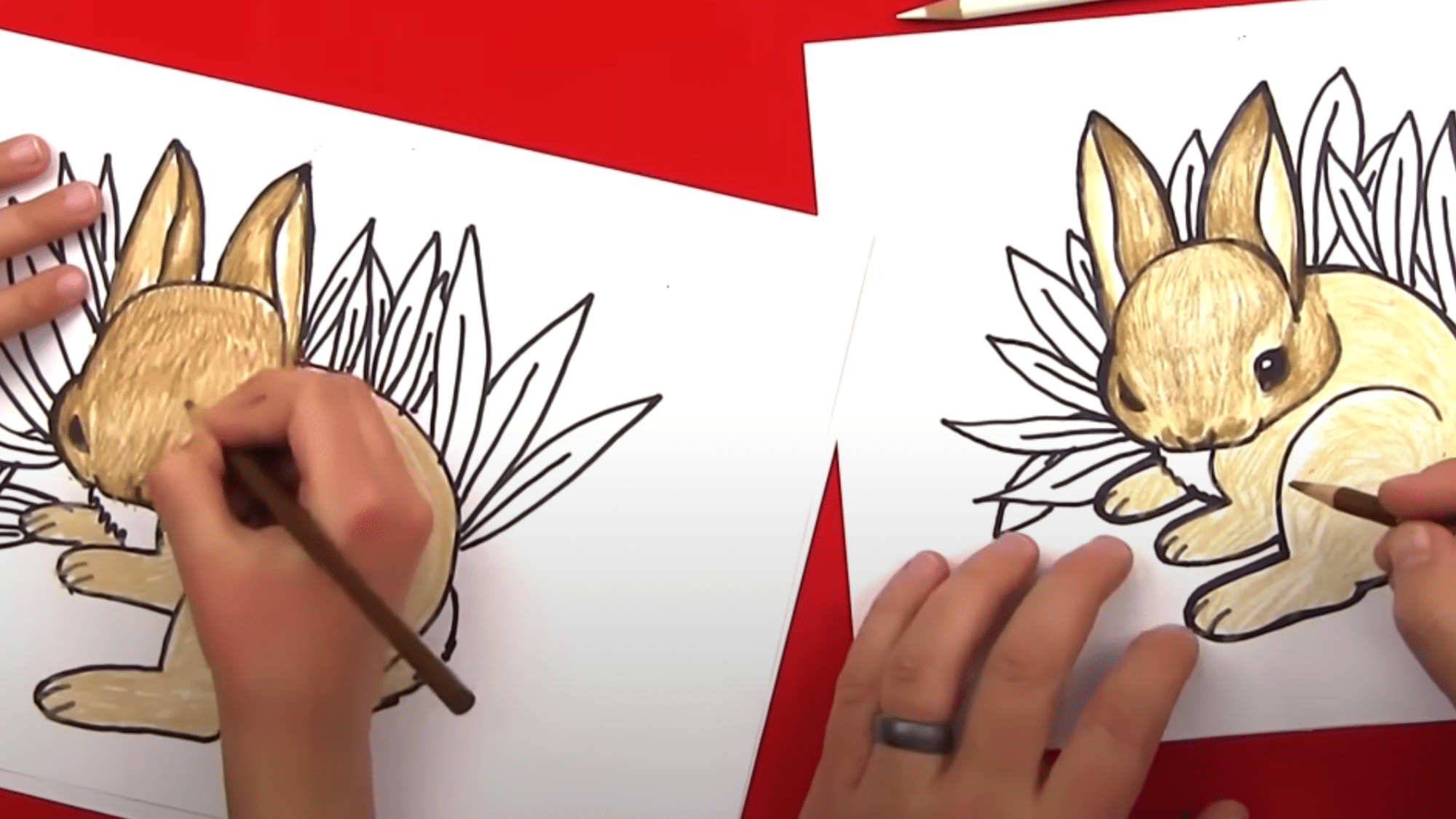Step_6_Add_Light_Background_Details