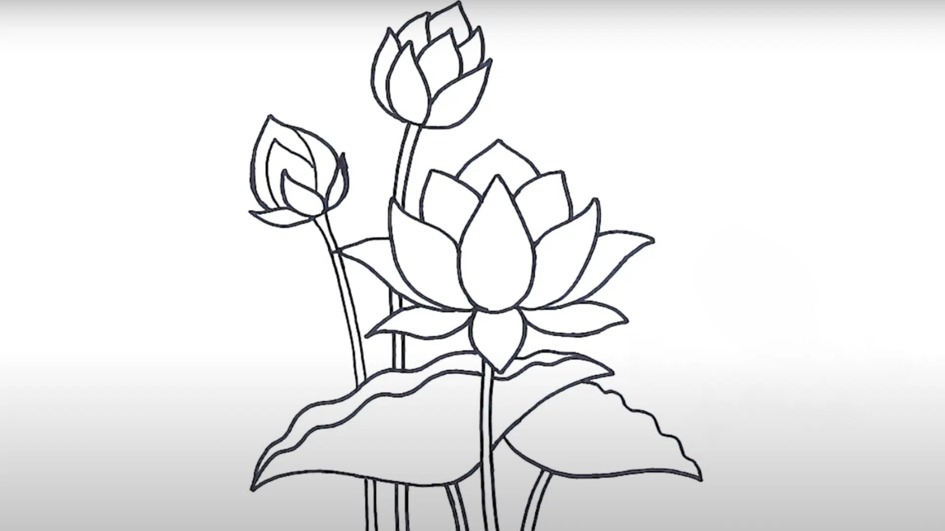 Step_6_Create_the_Stem_and_Large_Leaves