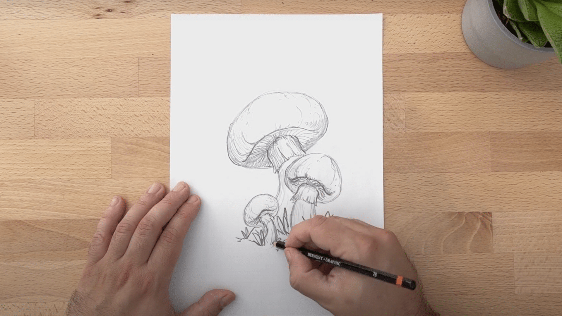 Step_7_Add_Shading_and_Texture