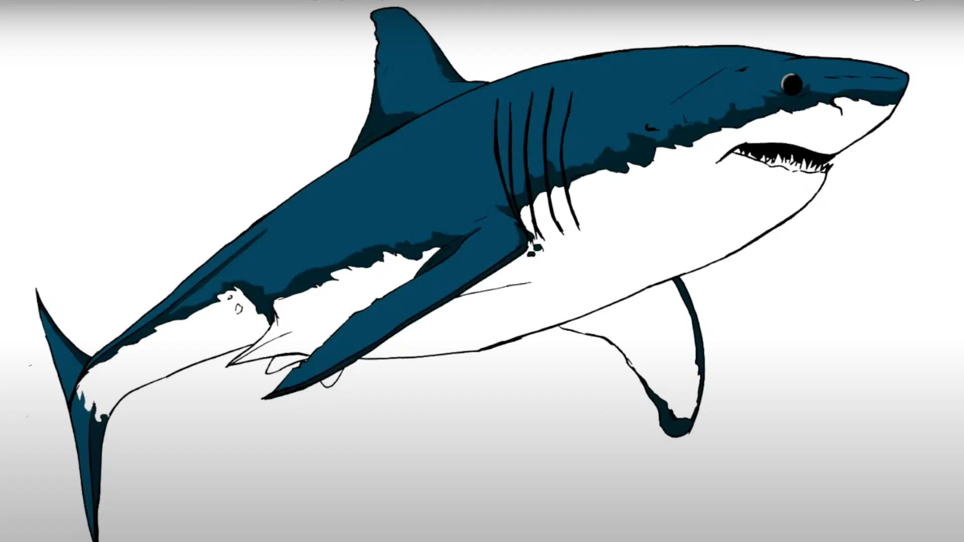 Step_7_Finalize_with_Shading_and_Color