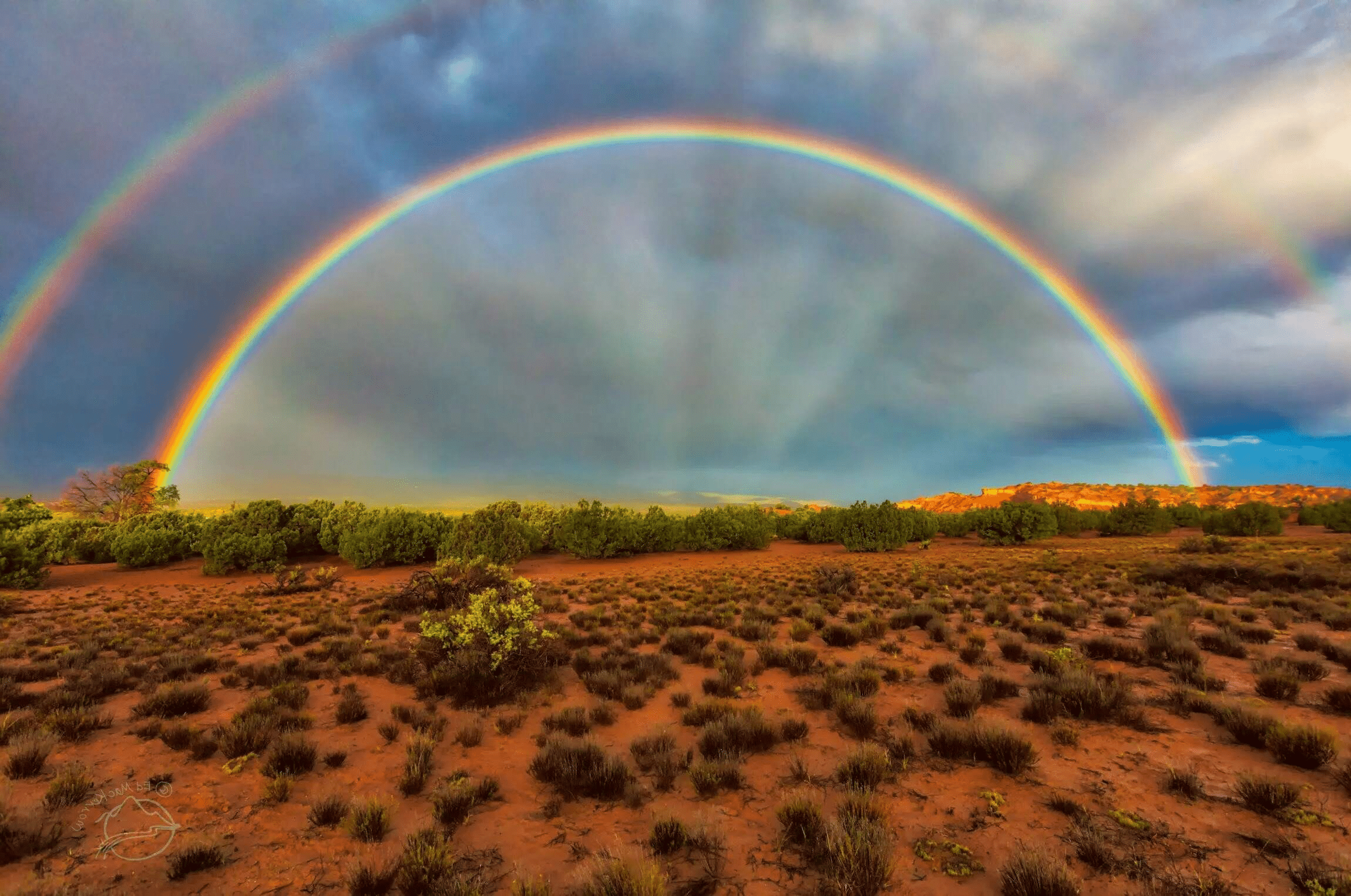 The_Amazing_Science_That_Makes_Rainbows_Appear