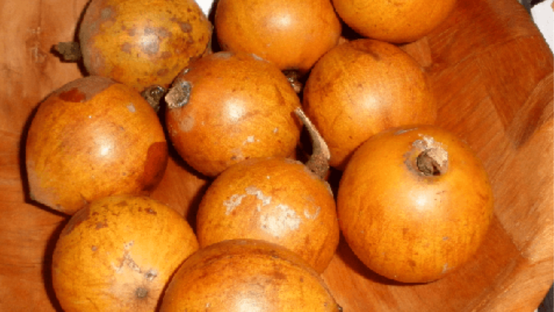 Udara_African_Star_Apple