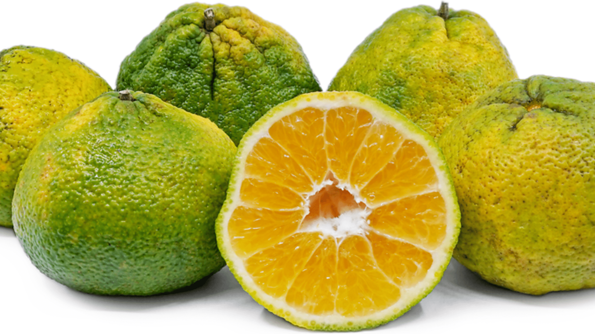 Ugli_Fruit