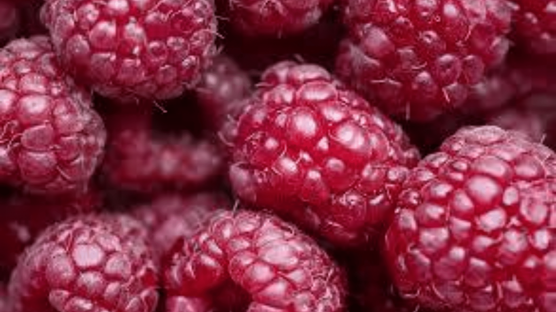 Ulena_South_African_Berry