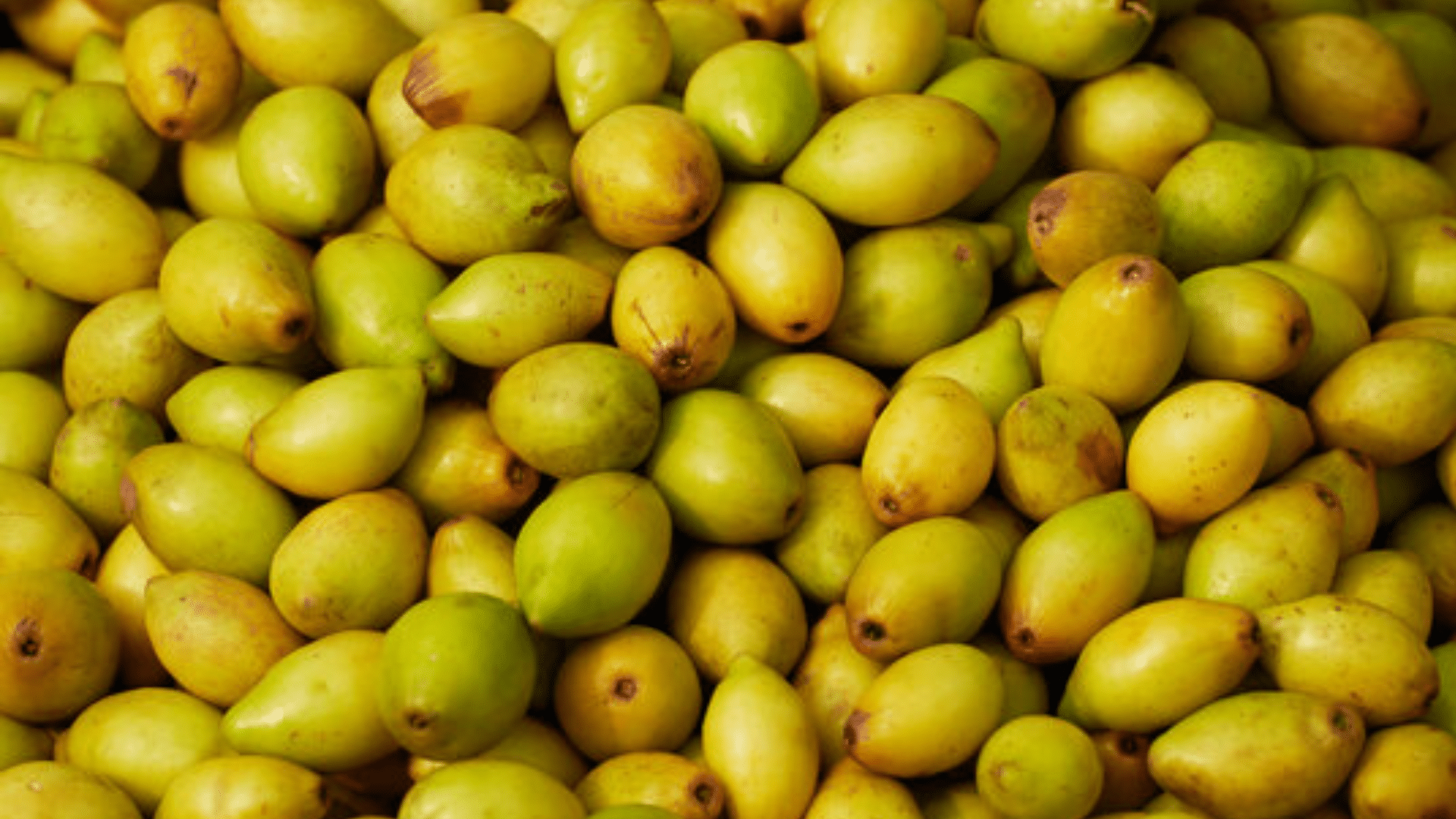 Umari_Fruit