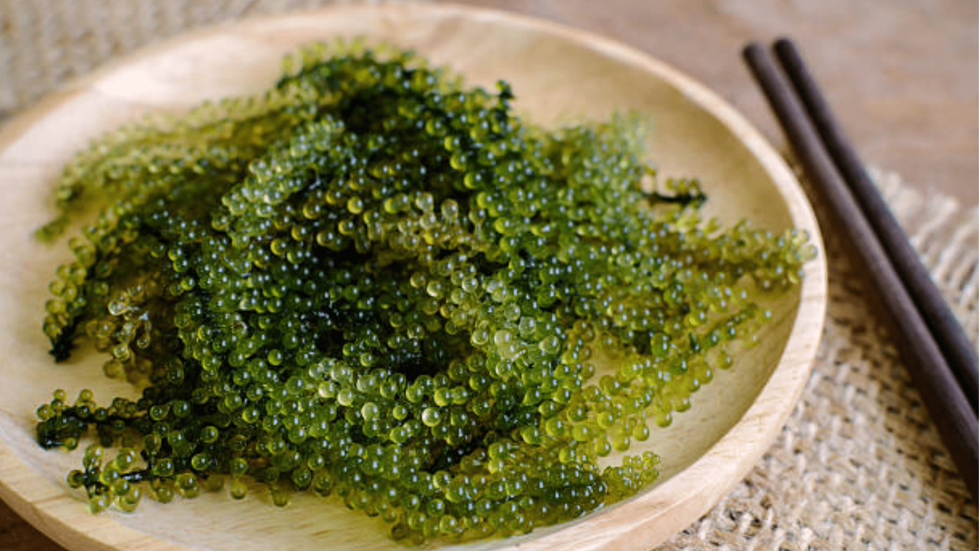 Umi-budo_Sea_Grapes