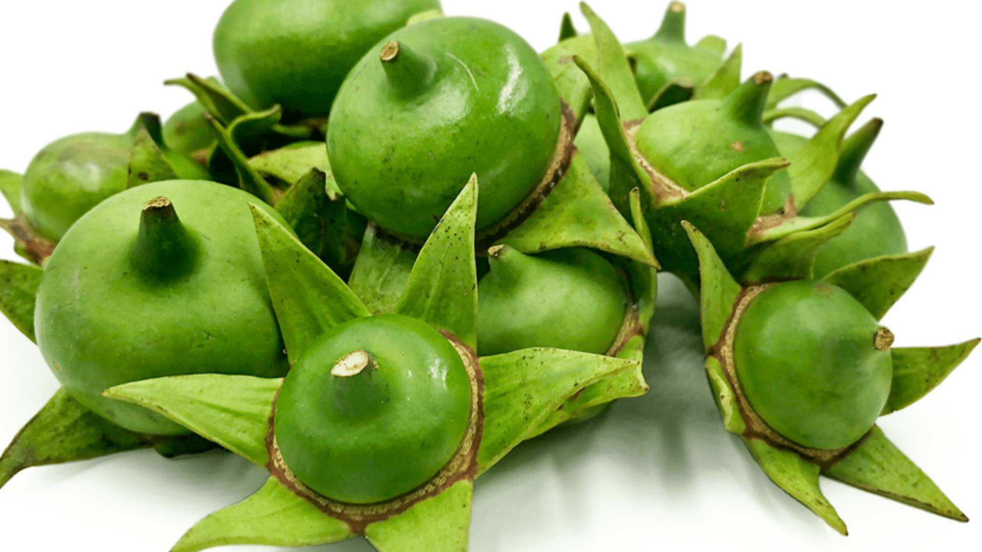Urava_Fruit_Mangrove_Apple