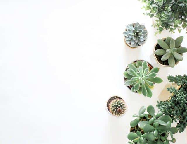 4 Methods For Feeling Relaxed and Zen While at Home