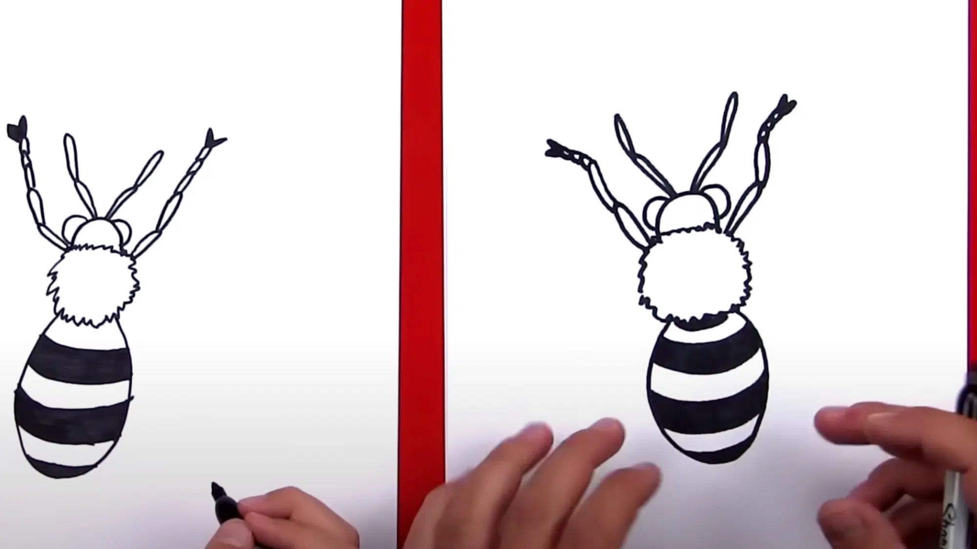 Add the Eyes and Antennas