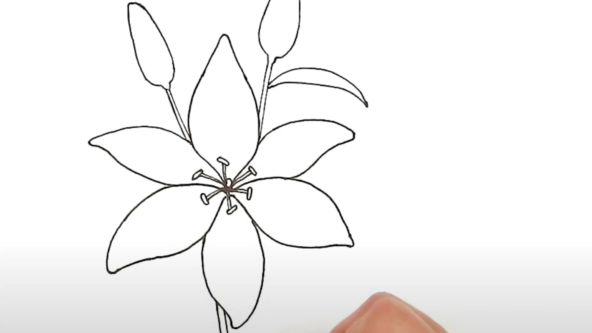 Connect_the_Stamen