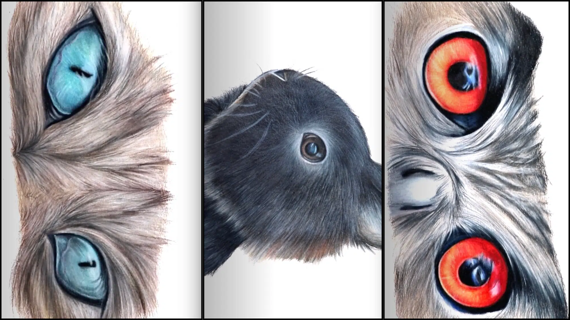 Creative Ideas for Solvent Drawing Projects