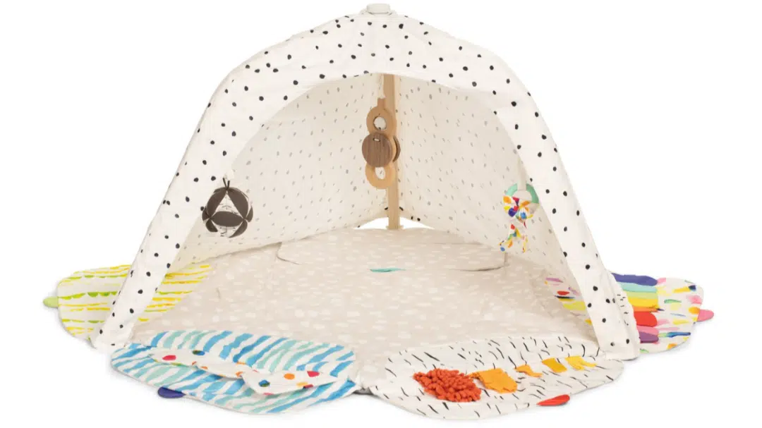 Features_and_Developmental_Benefits