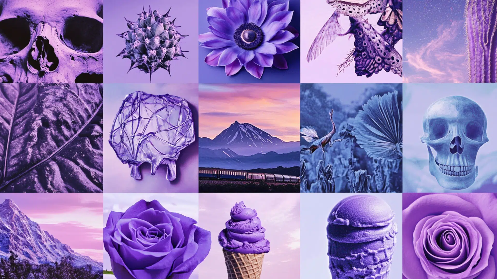 Scenic__Curious_Ideas