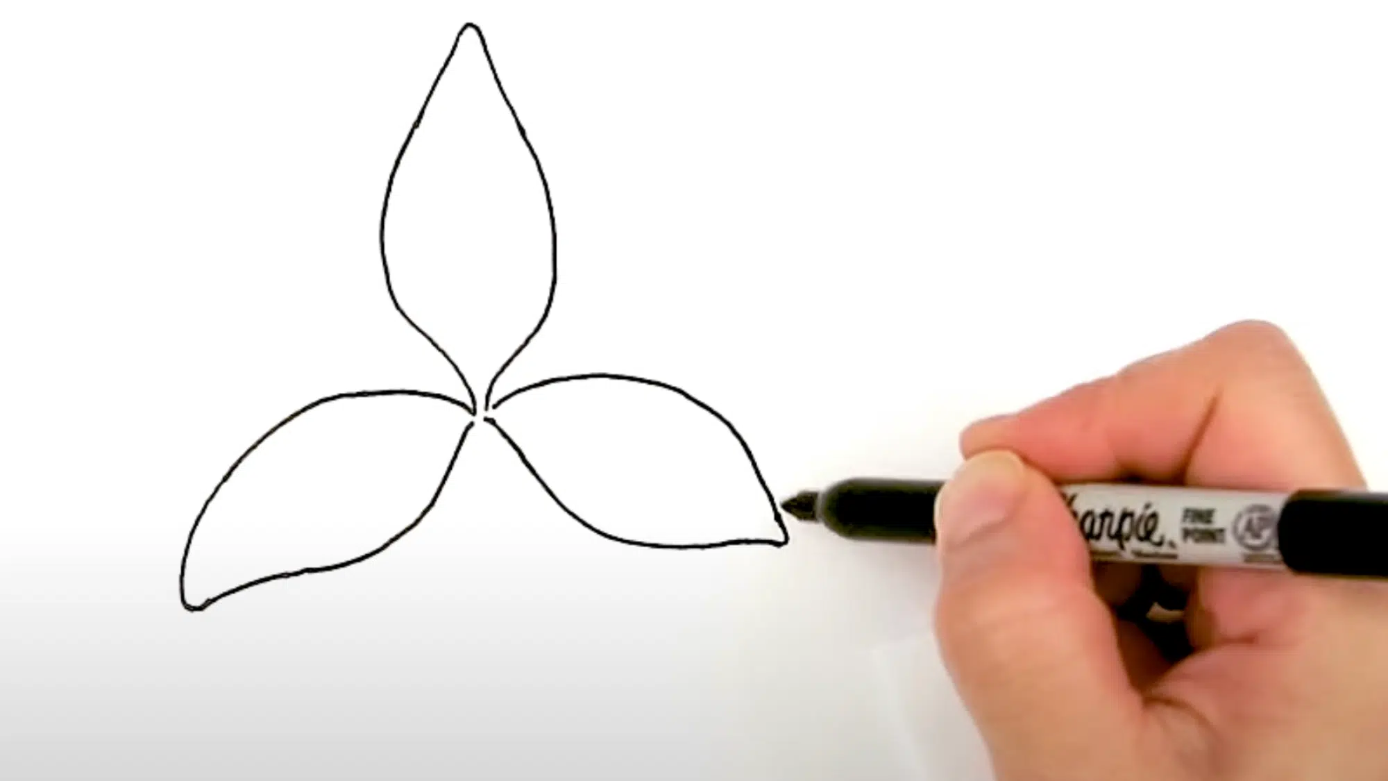 Sketch_the_Central_Petal