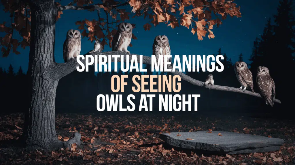 Spiritual Meanings of Seeing Owls at Night