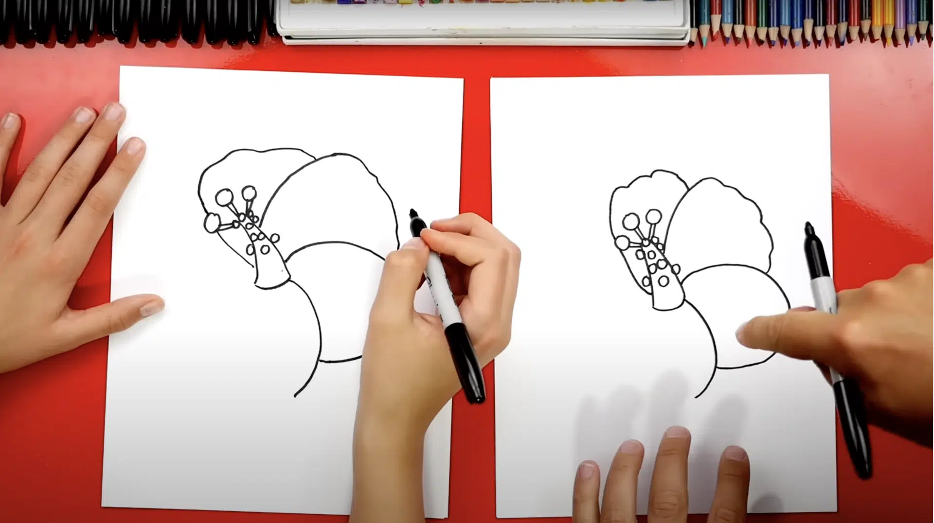 Step_4_Draw_Overlapping_Petals