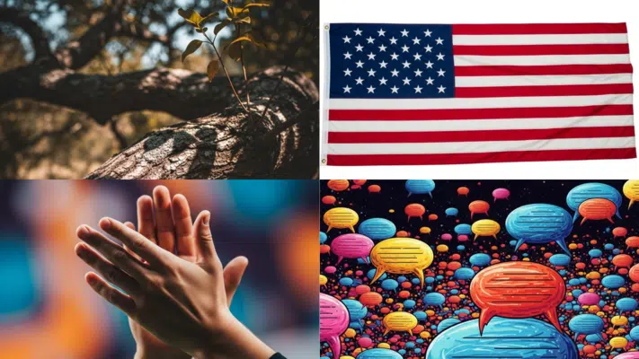 Action, Object, and Place Words
