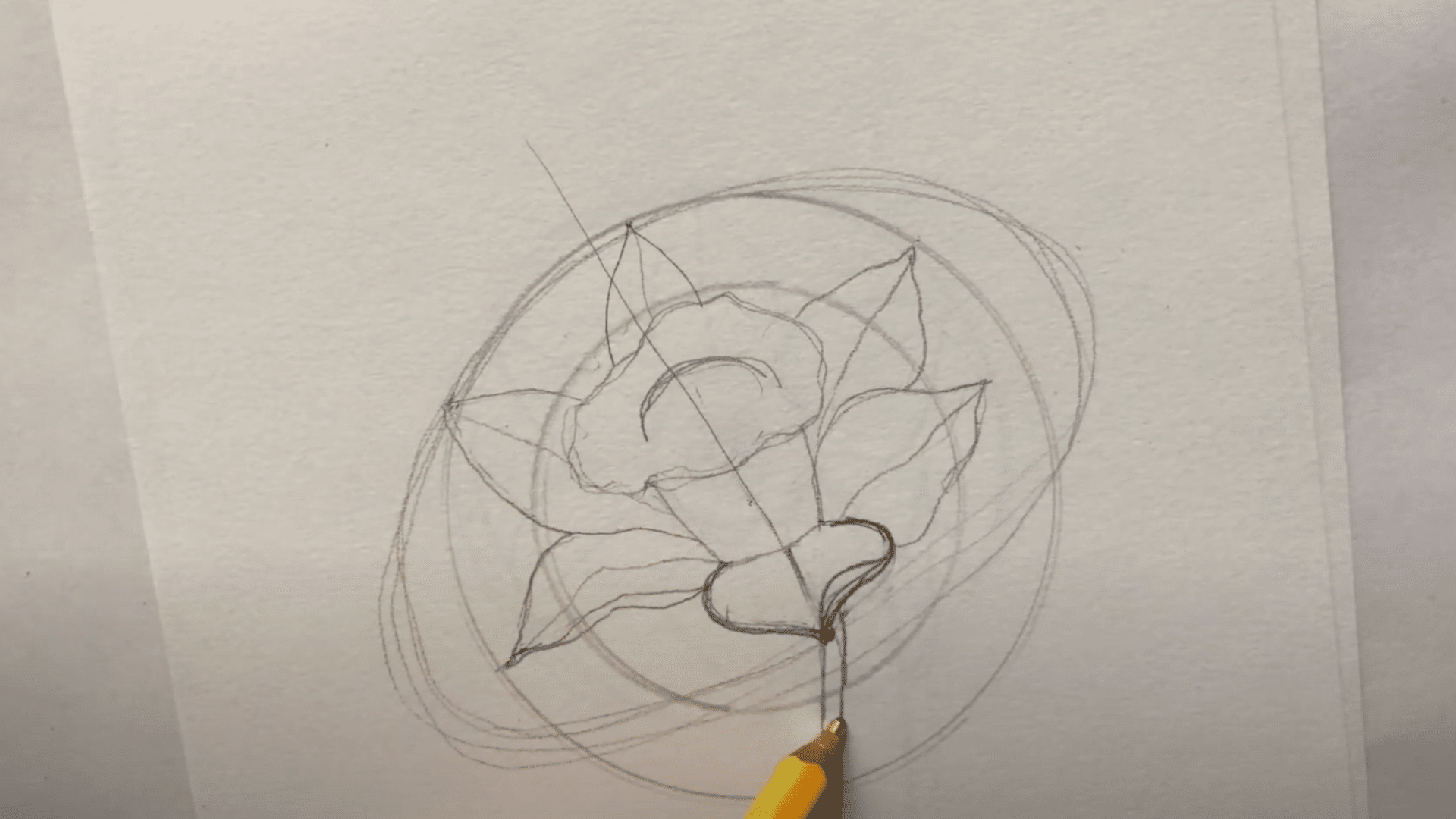 Adding_the_Neck_and_Stem