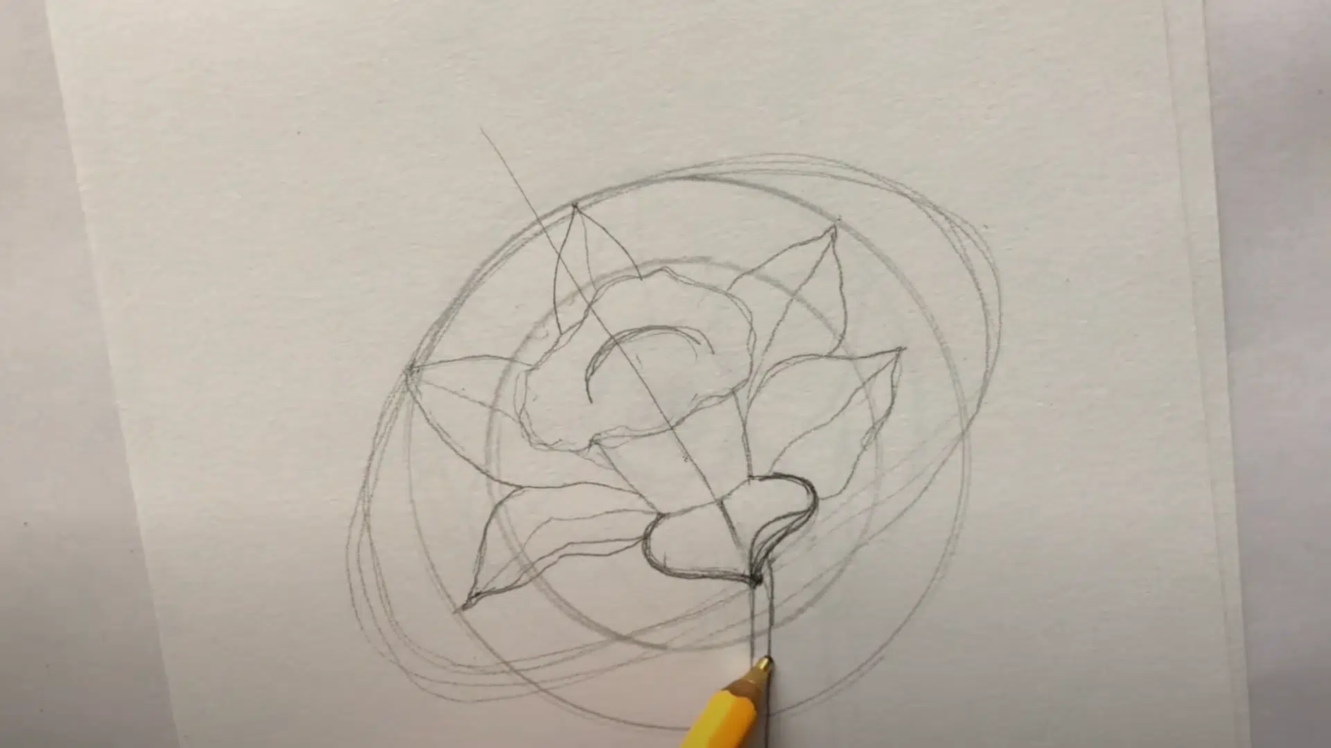 Adding_the_Neck_and_Stem