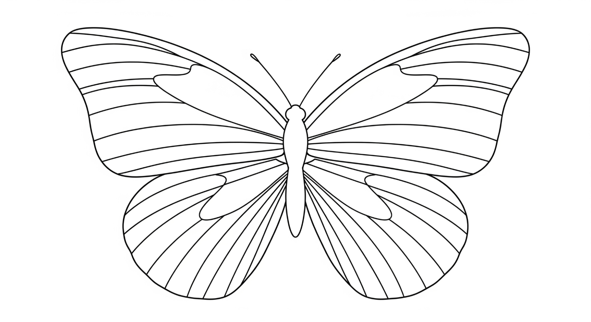 Butterfly_with_Striped_Wings