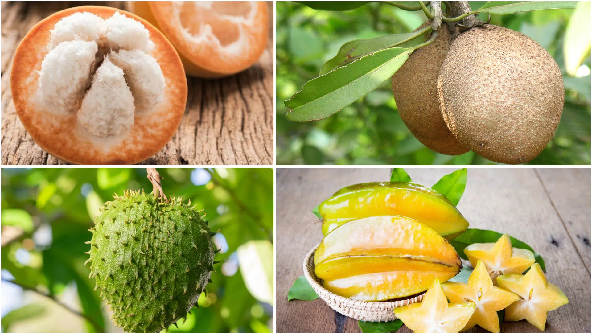 Common_Fruits_that_Start_with_S