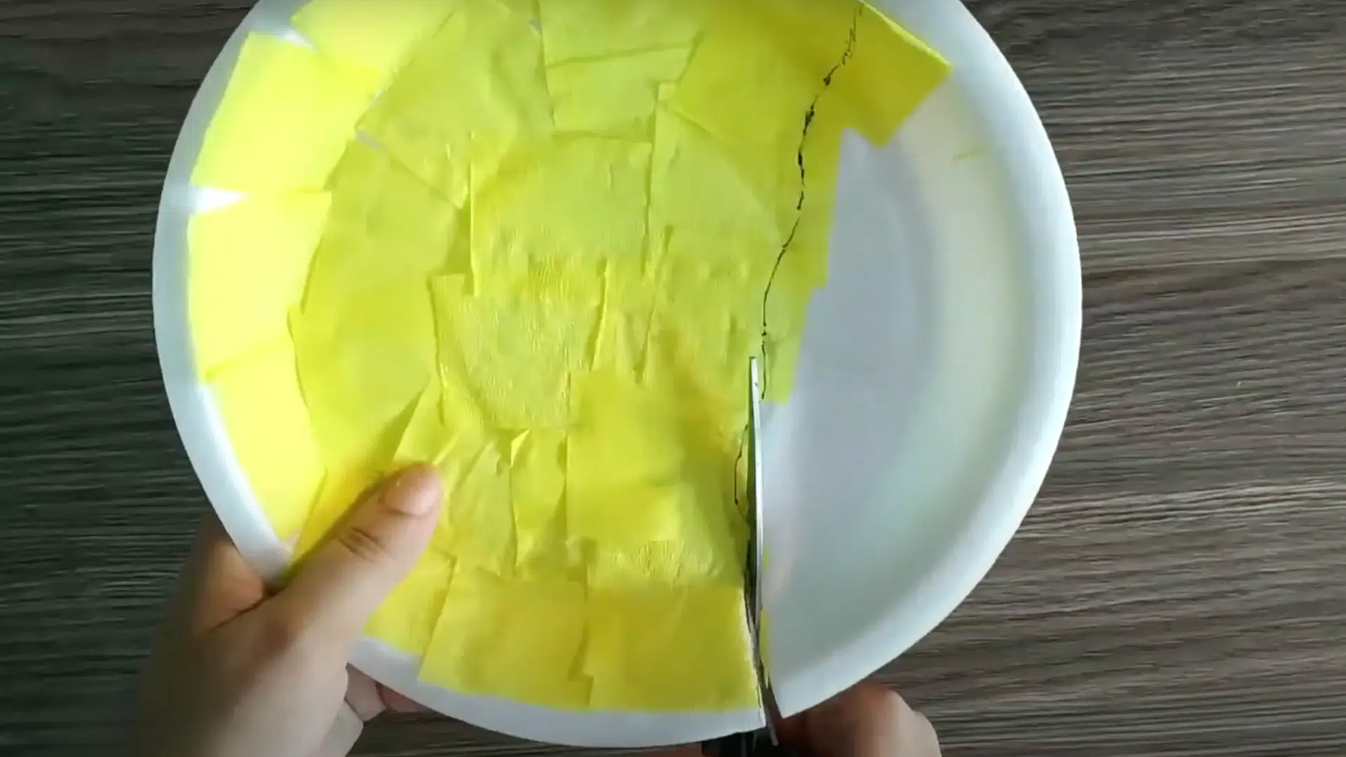 Cut the Plate into a Jellyfish Shape