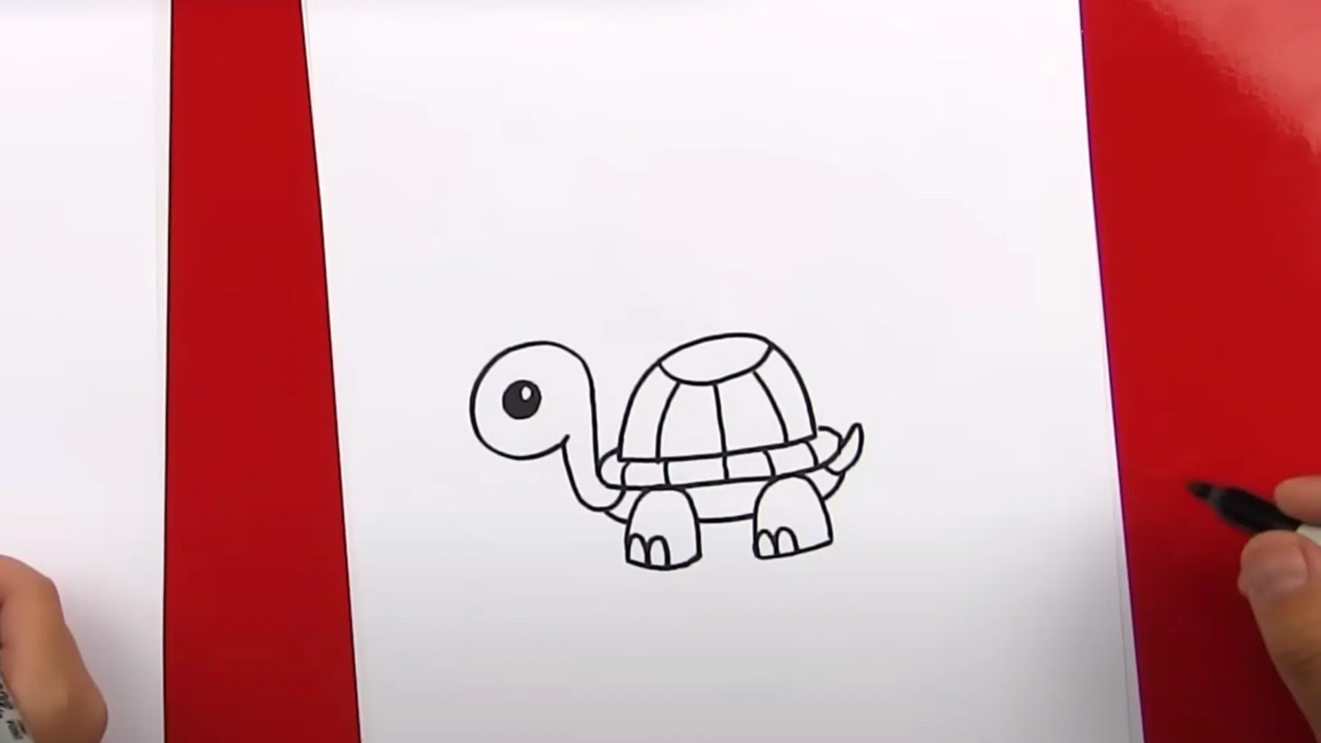 Draw_the_Belly_and_Tail