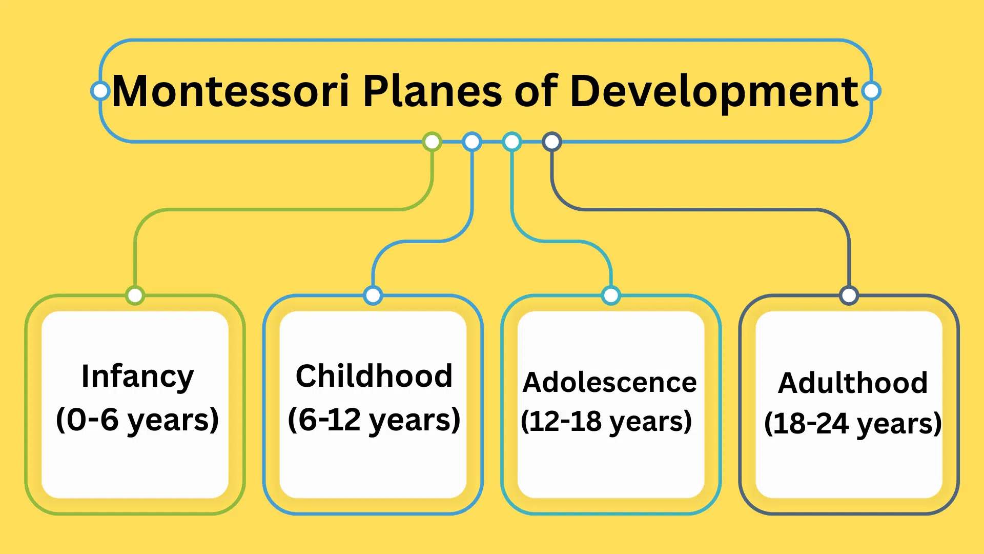 Explained: Montessori Planes of Development Stages

