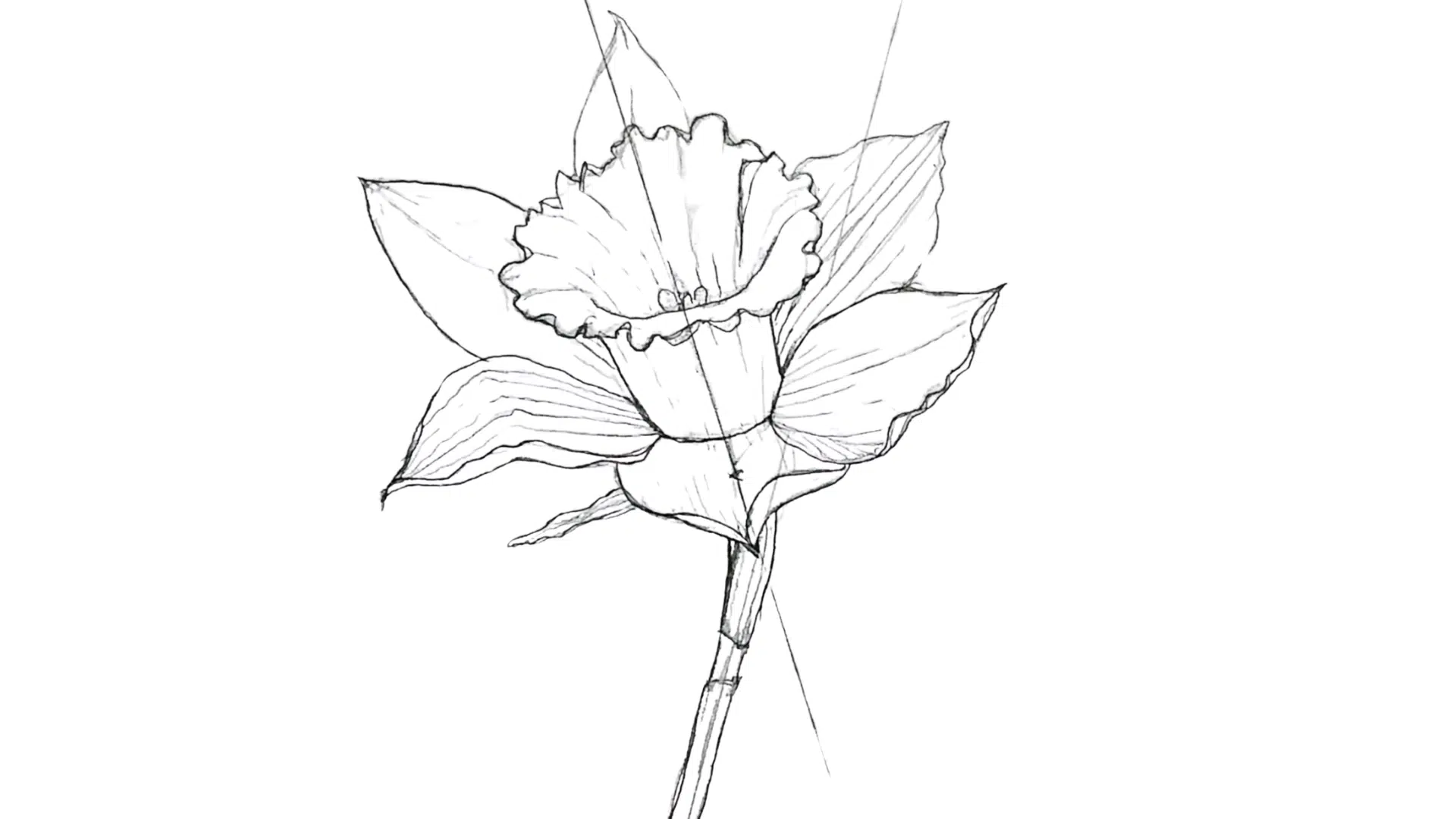 Final_Drawing_Touches