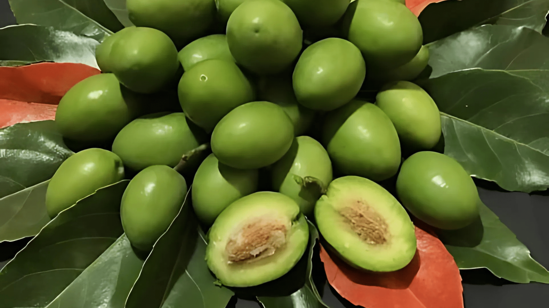 Olive